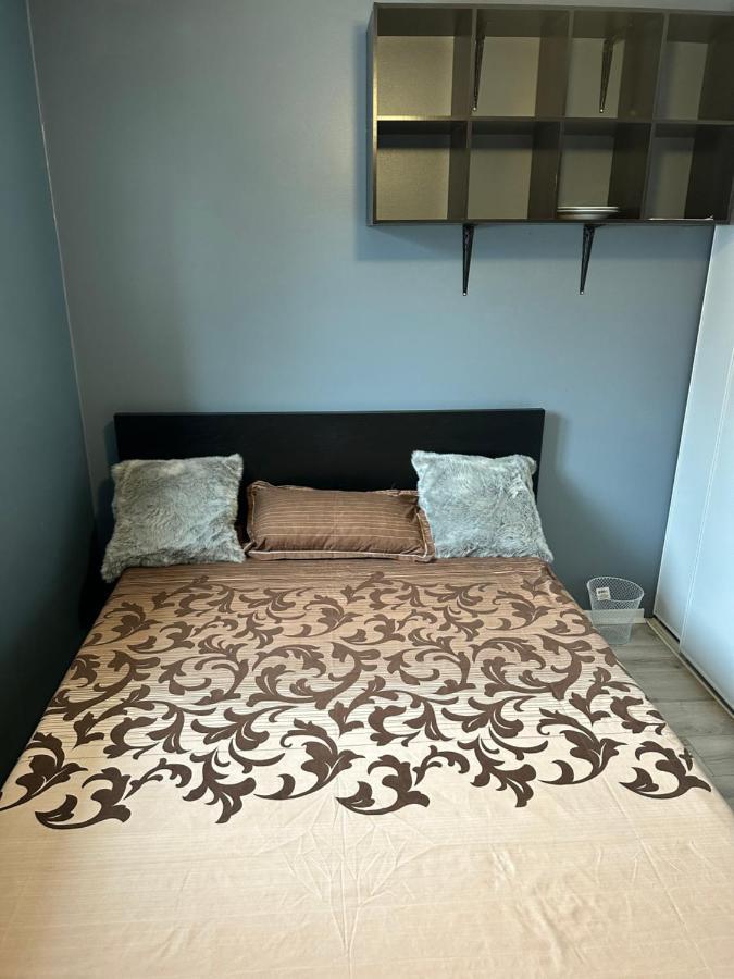 Castlerooms Homestay 오타와 외부 사진